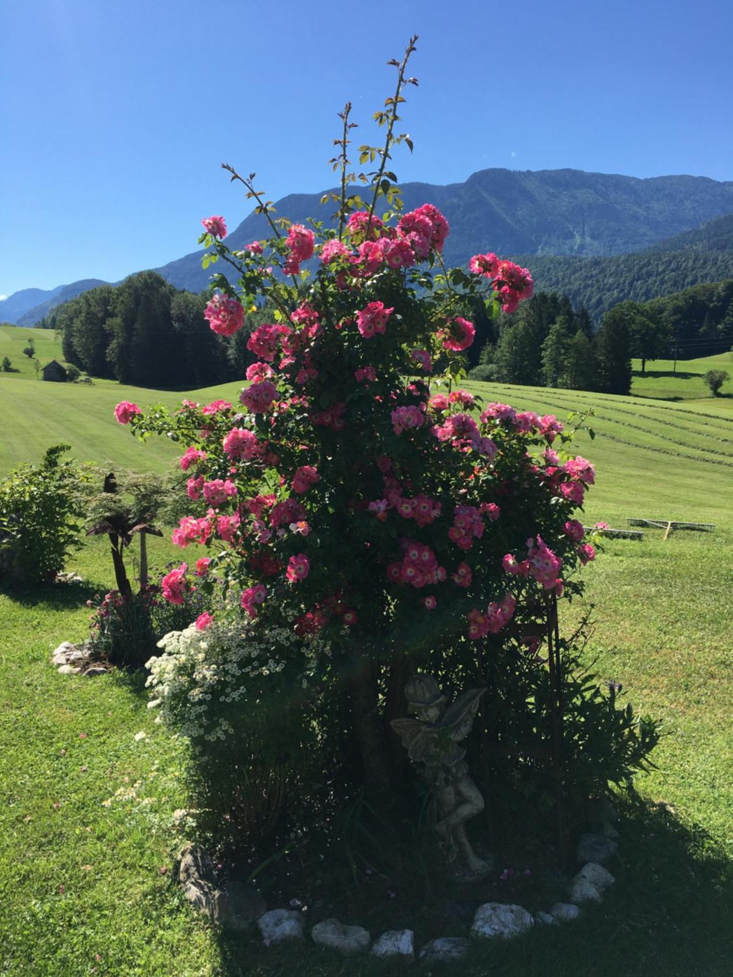 Maislbauer Saint Wolfgang Buitenkant foto